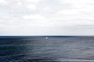 Ingredient Insight | Marine Collagen