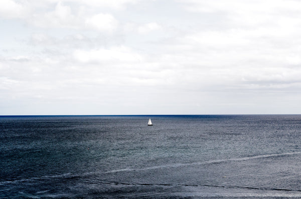 Ingredient Insight | Marine Collagen