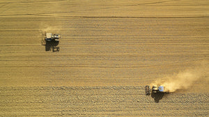 Ingredient Insight | Key Ingredients in our New Shampoo & Conditioner Bars