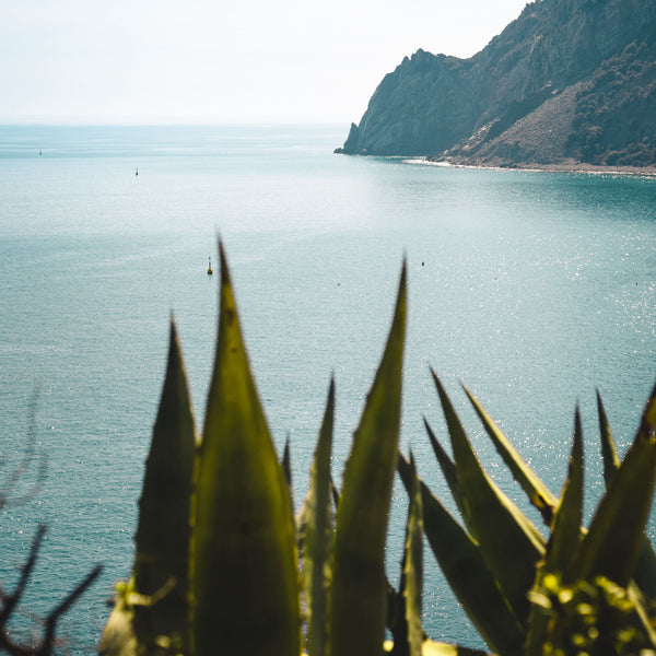 Tips From The Team | Three Summer Spa Treatment Ideas