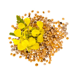 Mustard Oil