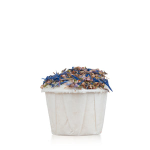 After Dark Butter Cup - WiDEYE